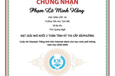 Học sinh đạt giải IOE cấp xã