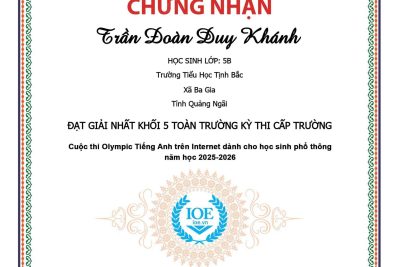 HỌC SINH ĐẠT GIẢI IOE KÌ THI CẤP TRƯỜNG